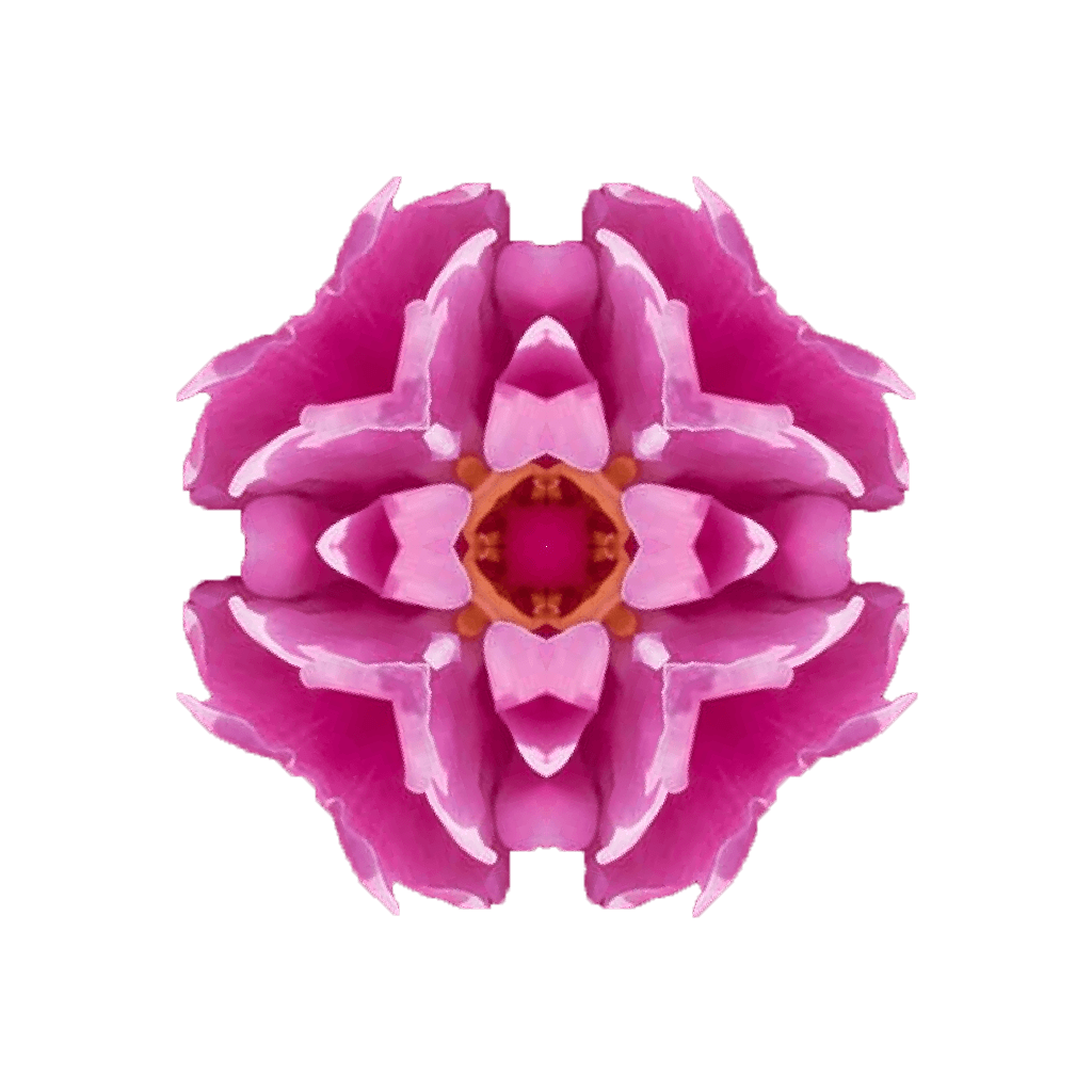 Kaleidomo icon