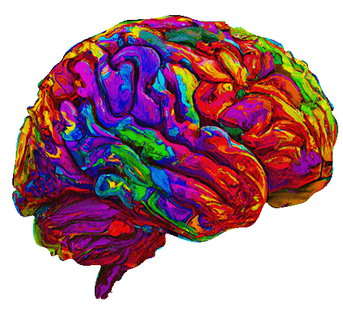 Altered Brain Chemistry brain